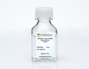 CellAdhere™ I型胶原蛋白（牛源，溶液）