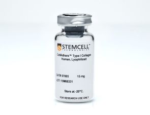 CellAdhere™ I型胶原蛋白（人源，冻干）