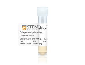 胶原酶/透明质酸酶