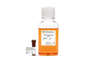 STEMdiff™SMADi神经诱导试剂盒