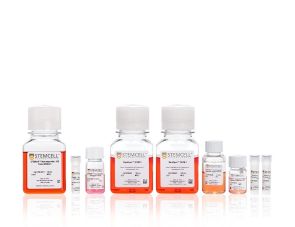 STEMdiff™ T细胞试剂盒