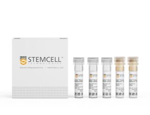 EasySep™小鼠TIL（CD45）正选试剂盒