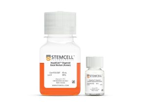 HepatiCult™ 类器官生长培养基 (人)
