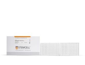 HTS Transwell®-96,0.4µm孔径聚酯膜插件