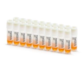 ThawSTAR® CFT2测试样品管