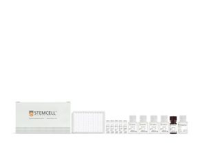 人SARS-CoV-2刺突蛋白抑制剂筛选试剂盒