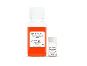 STEMdiff™ 脉络丛类器官成熟试剂盒