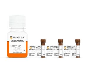 STEMdiff™运动神经元分化试剂盒