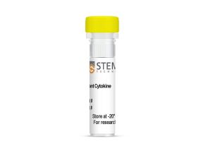 人重组加脂联素（gAcrp30）