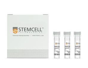 ImmunoCult™小鼠T细胞激活试剂盒