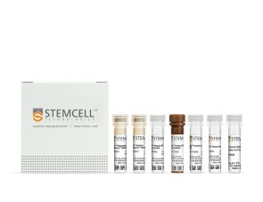 EasySep™人ILC2分选试剂盒