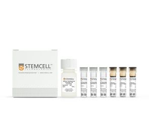 EasySep™ HLA嵌合全血CD3正选试剂盒