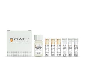 EasySep™ HLA嵌合全血淋巴细胞正选试剂盒