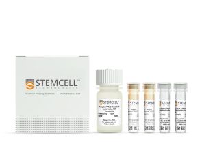 EasySep™HLA嵌合白膜层（buffy coat）CD56 正选试剂盒