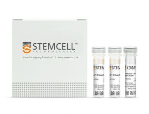 EasySep™人CD4+ T细胞富集试剂盒