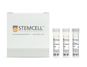 EasySep™人总粒细胞分选试剂盒