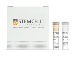 通过免疫磁珠负选结合血小板去除技术分离未标记的人祖细胞