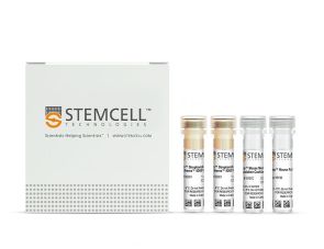 EasySep™小鼠记忆CD4+ T细胞分选试剂盒