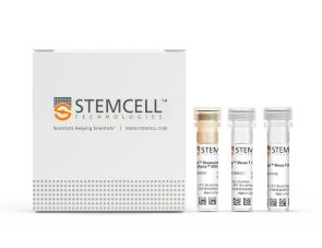 EasySep™小鼠T细胞分选试剂盒