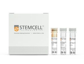 EasySep™小鼠CD4+ T细胞分选试剂盒