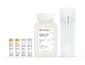 EasySep™小鼠CD8+ T细胞分选试剂盒