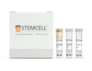 EasySep™小鼠造血祖细胞分选试剂盒