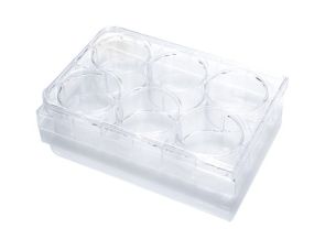 悬浮培养用超低吸附培养板