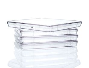 Corning®245 mm方形培养皿，未经组织培养处理