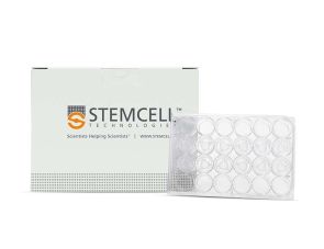 Costar®6.5 mm Transwell®，0.4µm孔径的聚酯膜小室插件