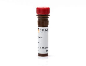 抗人CD34抗体，clone 563