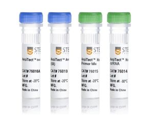 ArciTect™ 人HPRT 阳性对照试剂盒