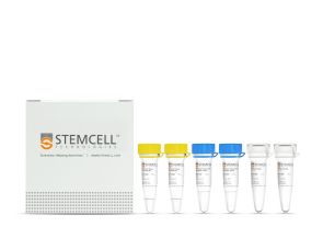 STEMscript™ cDNA 合成试剂盒（含 Oligo(dT) 引物）