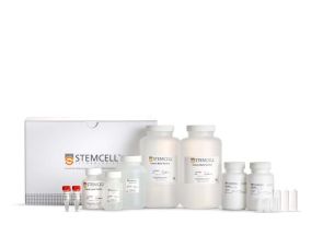 基因组 DNA 纯化试剂盒