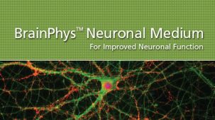 BrainPhys&trade;神经元培养基用于提高神经元功能性