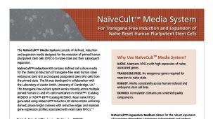 NaïveCult™ Media System