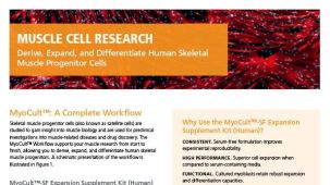 Derive, Expand, and Differentiate Human Skeletal Muscle Progenitor Cells