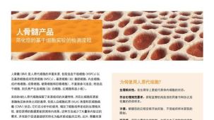 人骨髓产品   简化您的基于细胞实验的检测流程