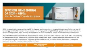CellPore™ 细胞转染系统   对CD34+ HSPCs进行 高效基因编辑