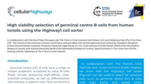 Highway1™: High Viability Selection of Germinal Centre B Cells from Human Tonsils