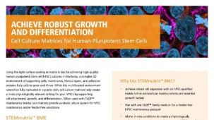 用于人多能干细胞的细胞培养基质 Vitronectin XFTM和CellAdhereTM Laminin-521