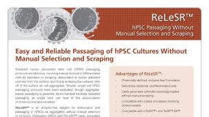 ReLeSR&trade; 无需手工选取和刮擦，让hPSC的传代简单且可靠