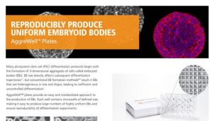 AggreWell™: Reproducible, Uniform Embryoid Bodies
