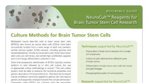 NeuroCult™: Reagents for Brain Tumor Stem Cell Research