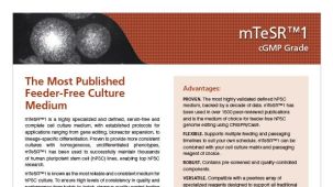 cGMP mTeSR™1