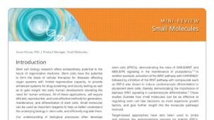 Small Molecules
