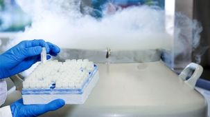 How to Thaw Intestinal Organoids