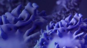 How to Measure NK Cell Killing Activity with a Standardized Potency Assay