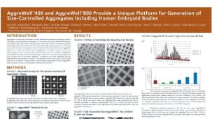 Aggrewell™400 and Aggrewell™800 Provide a Unique Platform for Generation of Size-Controlled Aggregates Including Human Embryoid Bodies