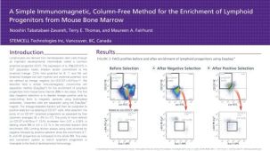 Immunomagnetic Cell Enrichment of Lymphoid Progenitors from Mouse Bone Marrow