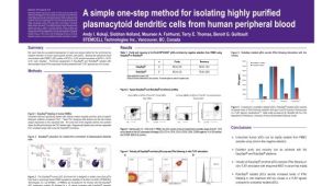 Isolation of Plasmacytoid Dendritic Cells from Human Peripheral Blood